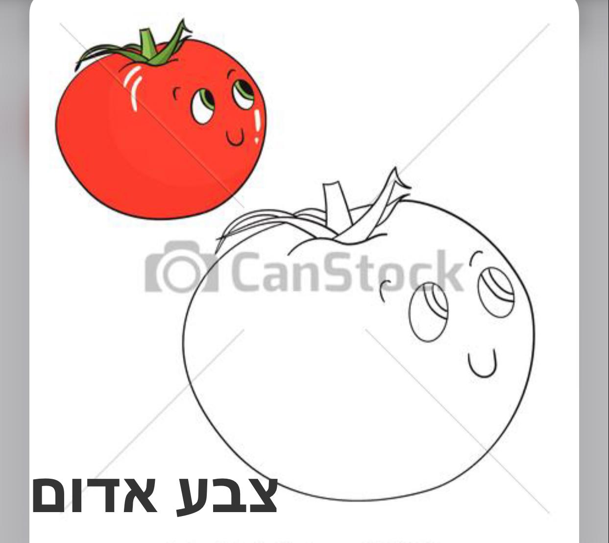 הצבע האדום